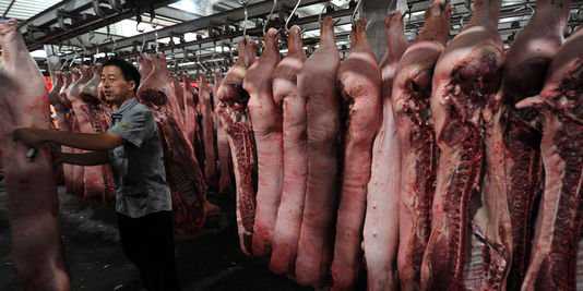 Do camarão com gelatina ao leite com tinta - 10 escândalos alimentares na China clenbuterol-porc