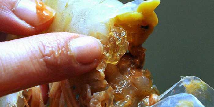 Do camarão com gelatina ao leite com tinta - 10 escândalos alimentares na China shrimpmain-700x350