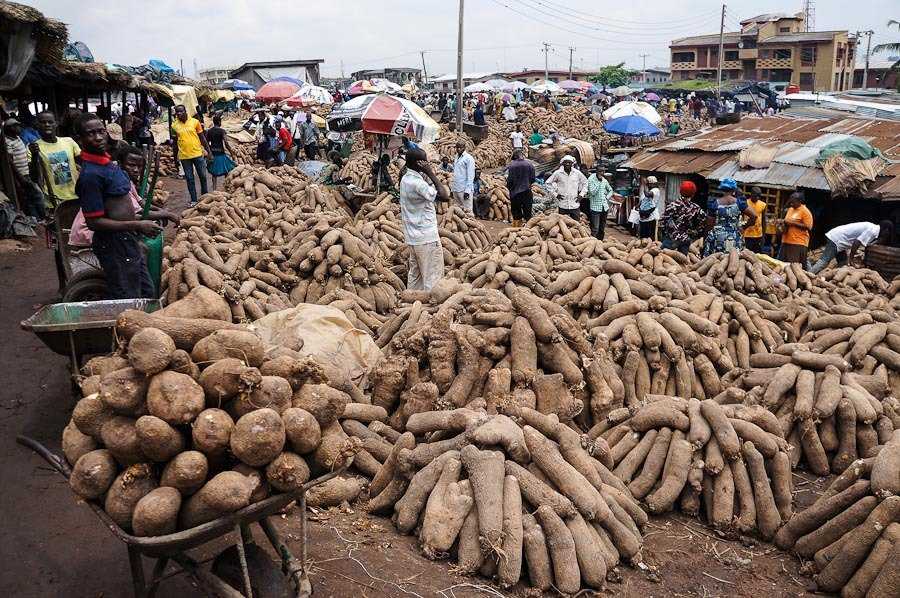 Foto Gump do dia: cenas de um mercado africano web (12)
