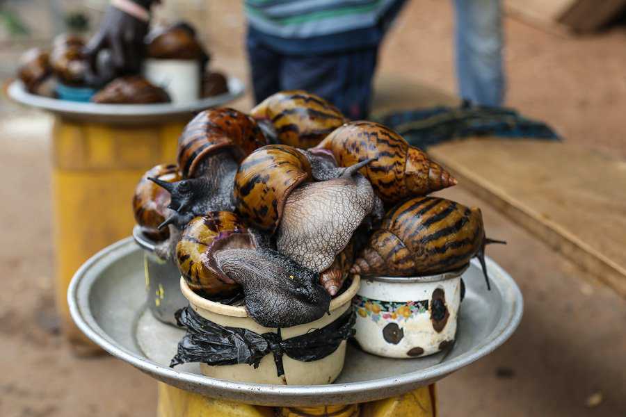 Foto Gump do dia: cenas de um mercado africano web (14)