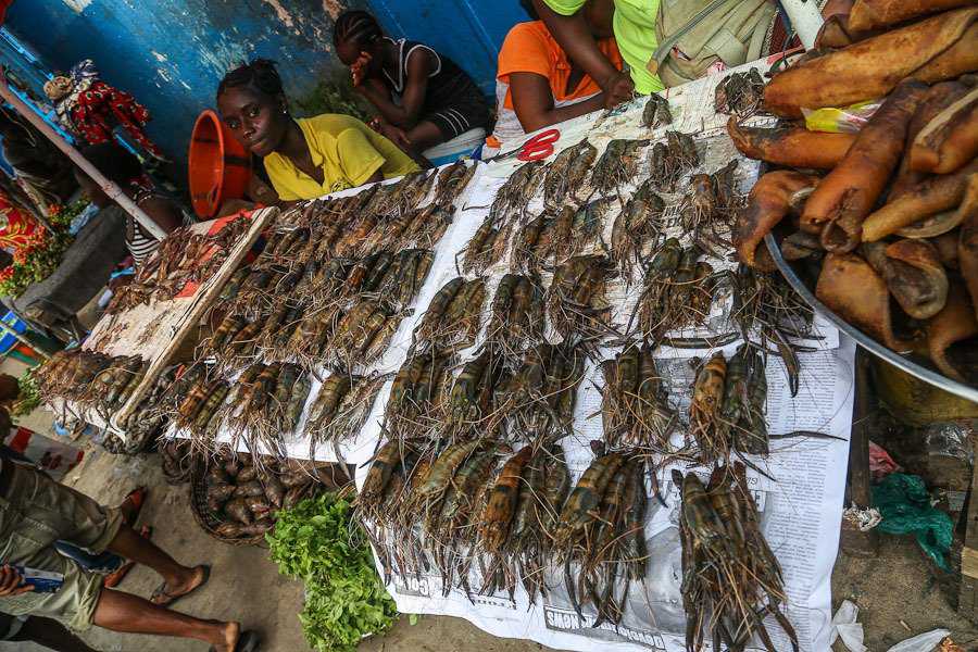 Foto Gump do dia: cenas de um mercado africano web (19)
