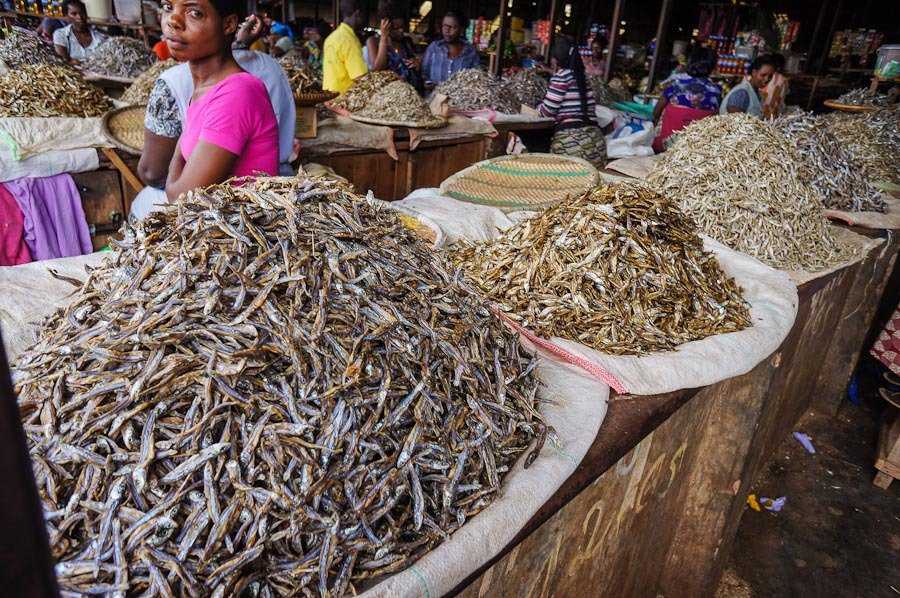 Foto Gump do dia: cenas de um mercado africano web (6)