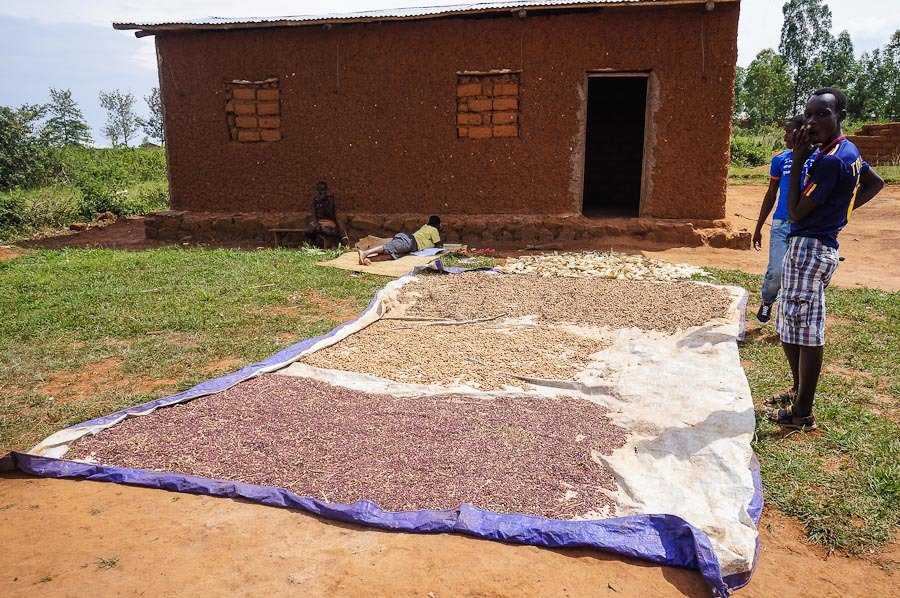 Foto Gump do dia: cenas de um mercado africano web (8)