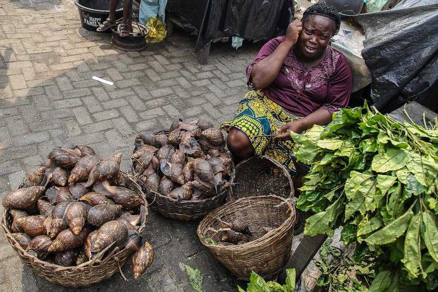 Foto Gump do dia: cenas de um mercado africano web