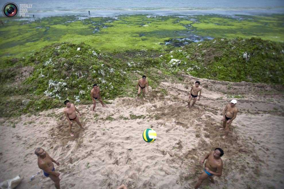 Foto Gump do dia: Ataque das algas verdes na China 0_17b9b5_8092a34d_orig