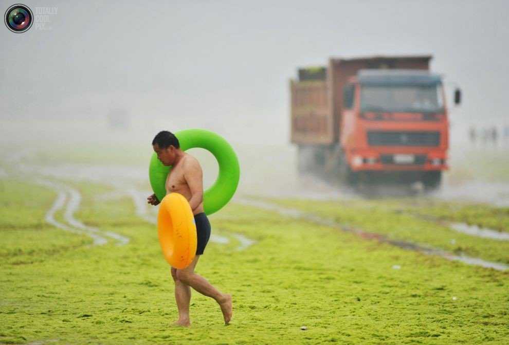 Foto Gump do dia: Ataque das algas verdes na China 0_17b9c1_e711f3ce_orig