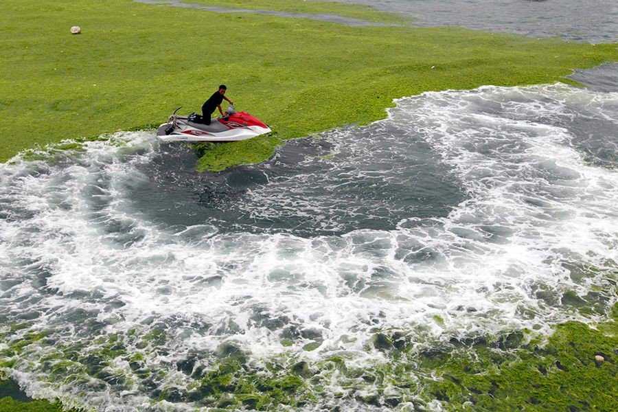 Foto Gump do dia: Ataque das algas verdes na China 0_17b9c8_9ac09970_orig