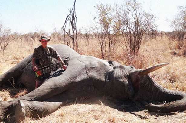 Caçador: O pior do lixo humano 2012_dr_jan_seski_elephant_web