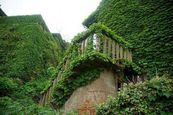 Veja a bizarra cidade da China que está sendo engolida por uma planta 600x400xHoutou-Wan-village6-600x400