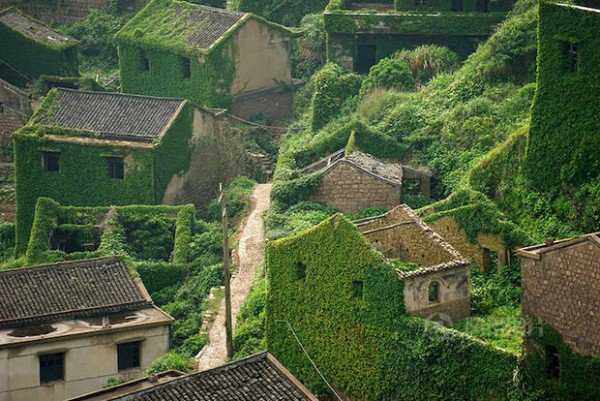 Veja a bizarra cidade da China que está sendo engolida por uma planta 600x401xHoutou-Wan-village2-600x401