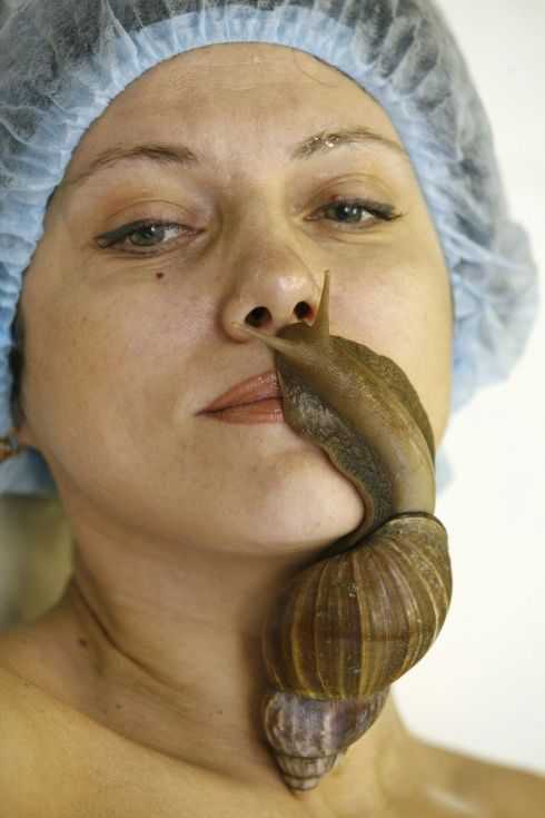 Ainda bem que não sou um caracol 6c2c7c76b008fe1048a1ac26d5caf70d
