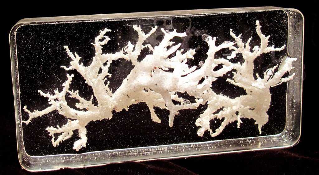 Criatura flagrada pela NASA?! Será que há vida em Marte mesmo? Preserved-Fulgerites-Petrified-Lightning