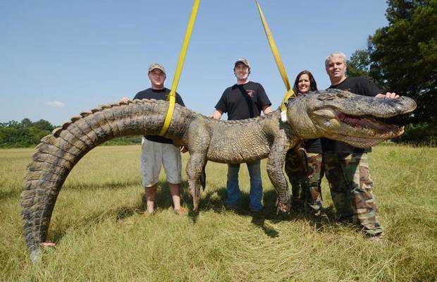 Caçador: O pior do lixo humano alligator-1