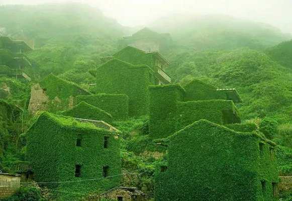 Veja a bizarra cidade da China que está sendo engolida por uma planta cidadeverde2