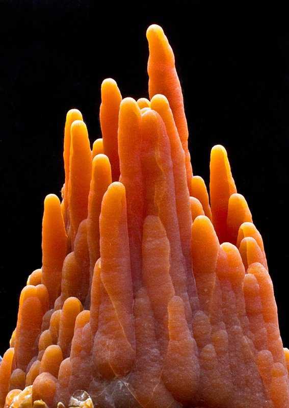 Criatura flagrada pela NASA?! Será que há vida em Marte mesmo? Estalagmites de calcita da Terra