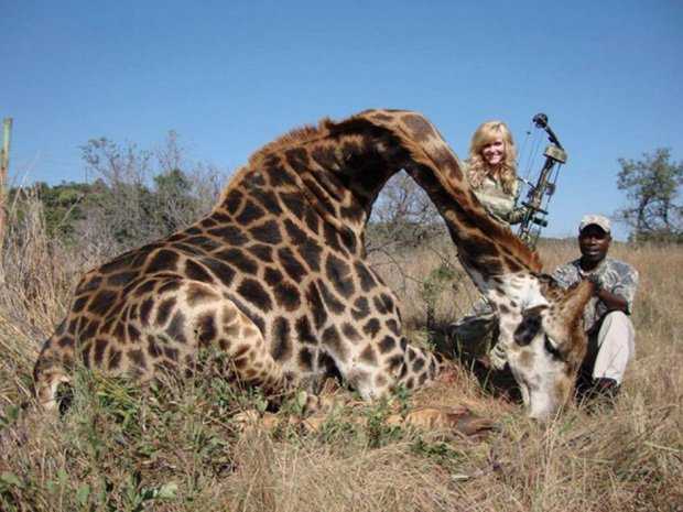Caçador: O pior do lixo humano giraffe2