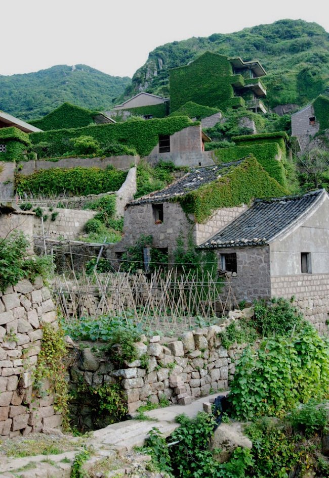 Veja a bizarra cidade da China que está sendo engolida por uma planta houtouwan12sccai6069