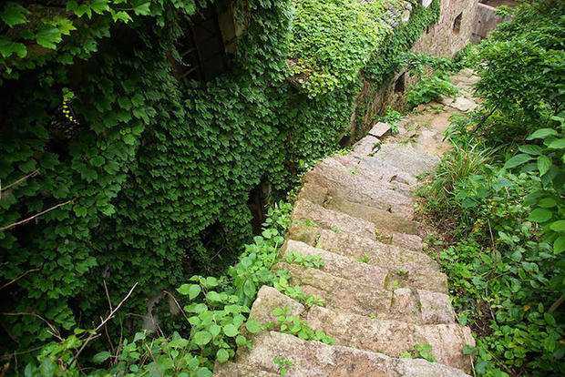Veja a bizarra cidade da China que está sendo engolida por uma planta houtouwan4janeqing_0