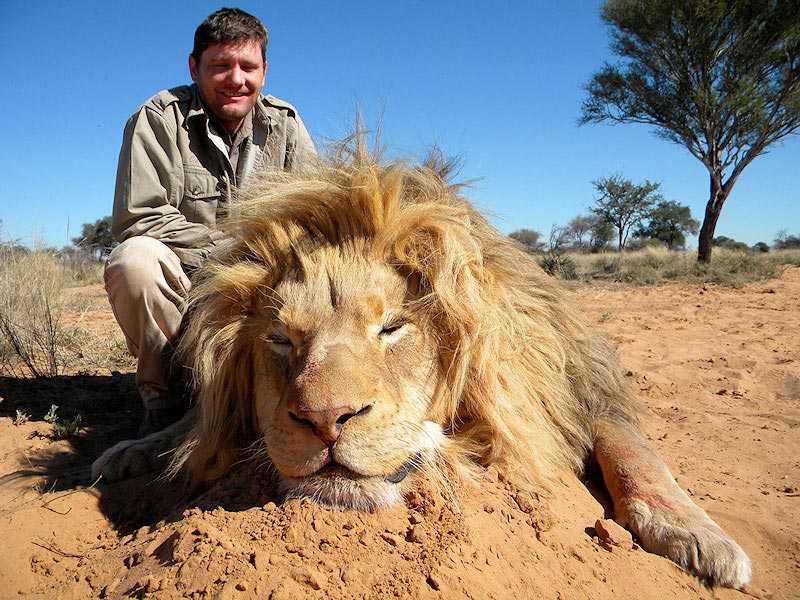 Caçador: O pior do lixo humano lion-2b