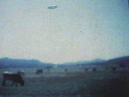 A vaca abduzida por um ufo? r0301785