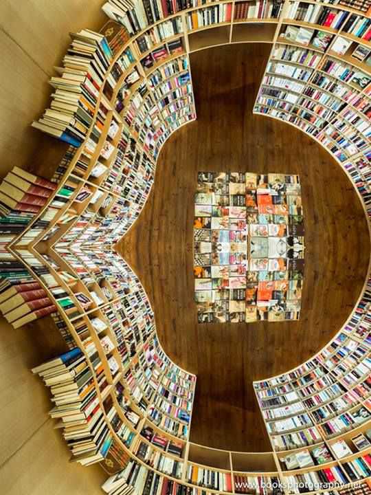 Ideias sensacionais para quem tem muitos livros ee6a69935617308013f931df35dfc585