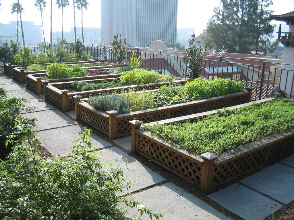 Fazendinha feliz e os ratos do meu pai Urban-agriculture-raised-beds