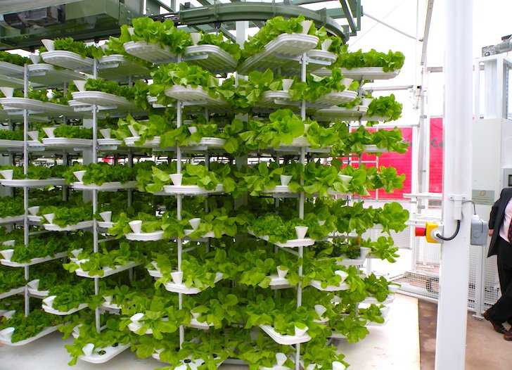 Fazendinha feliz e os ratos do meu pai Vertical-Urban-Farming