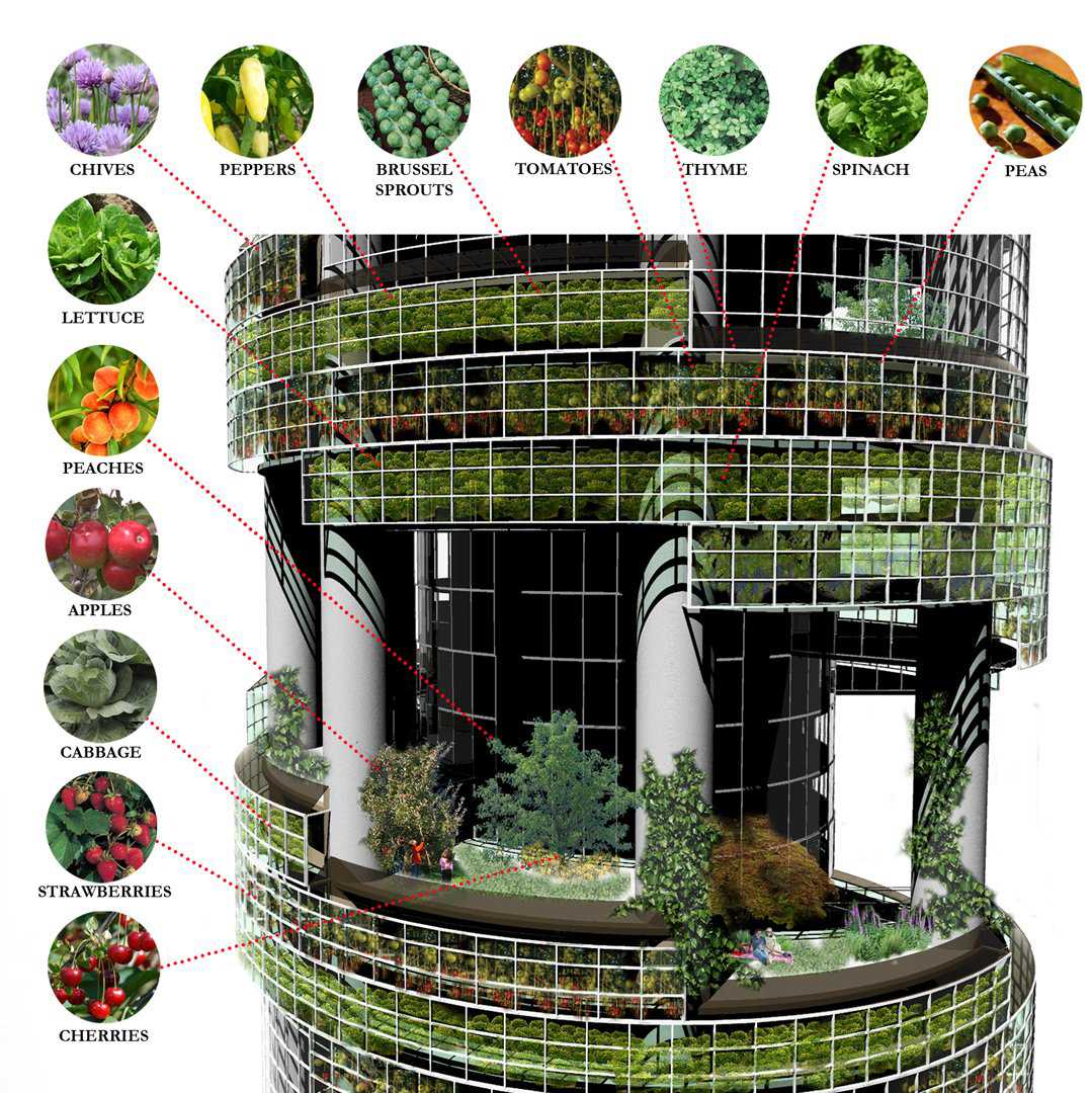Fazendinha feliz e os ratos do meu pai verticalfarm33