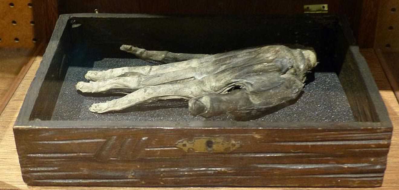 Mão da glória: A bizarra história de uma mão mumificada The-Hand-of-Glory