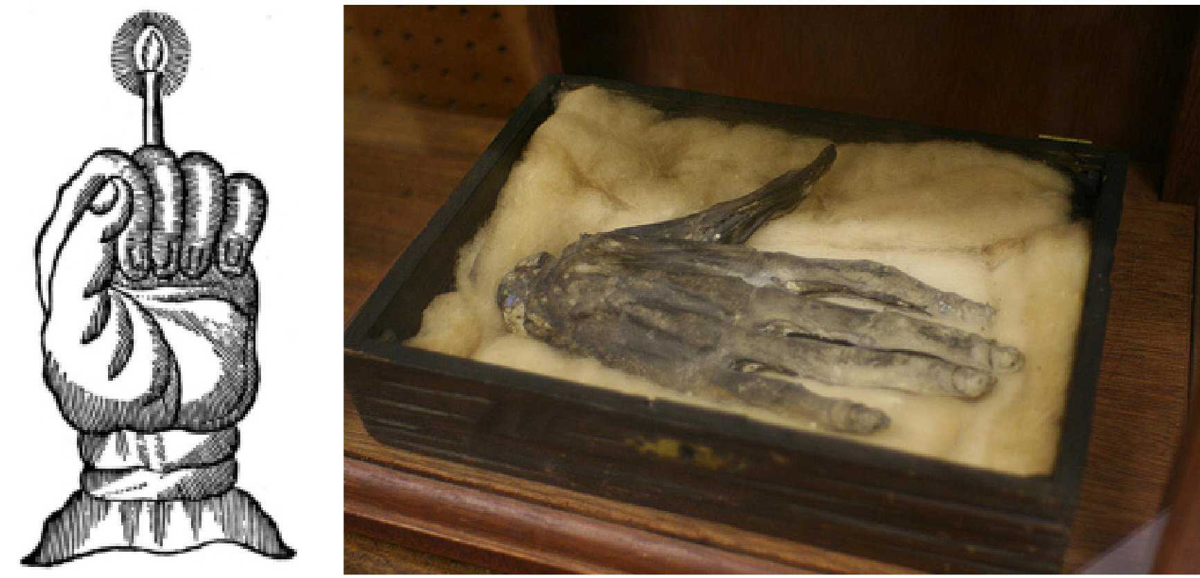 Mão da glória: A bizarra história de uma mão mumificada hand-of-glory-comp