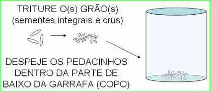 Pernilongo: O maior desafio do mundo Armadilha-para-mosquito-da-dengue-com-garrafa-Pet-6