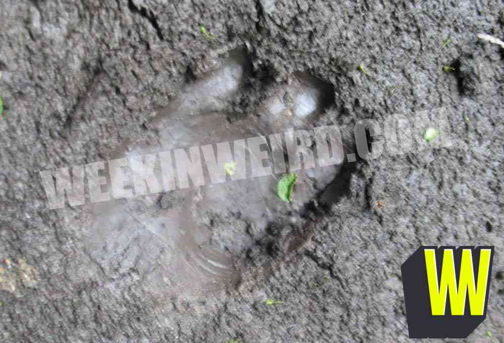 O mistério dos goblins do Kentucky firstkygoblinfootprint