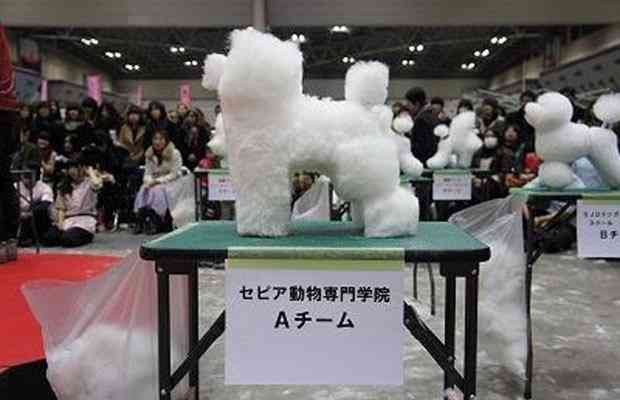 A bizarra moda da tosa cubista no Japão squaredog