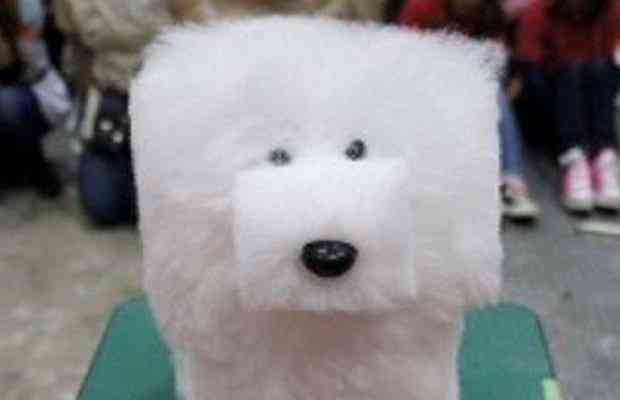 A bizarra moda da tosa cubista no Japão squaredogfeature