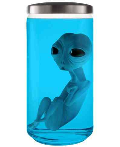 Gabinete de curiosidades BLAU-2(1)