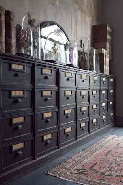 Gabinete de curiosidades c53fb155e7d2886ab8f380fdc60e6da1