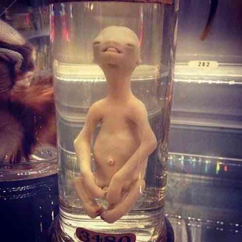 Feto alien no tubo 087c63f6b0f22248f1bb6535fd786960
