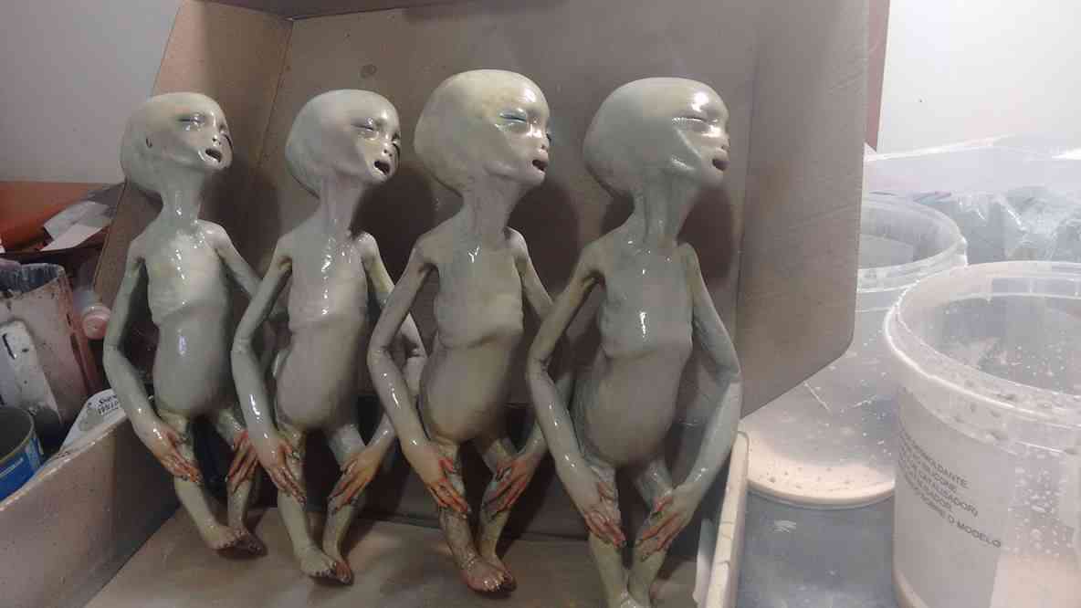 Feto alien no tubo 13113277_1436878063024663_521692848_o
