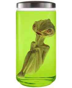 Feto alien no tubo 4c0220953ecf72ae1d00a293c47729b3