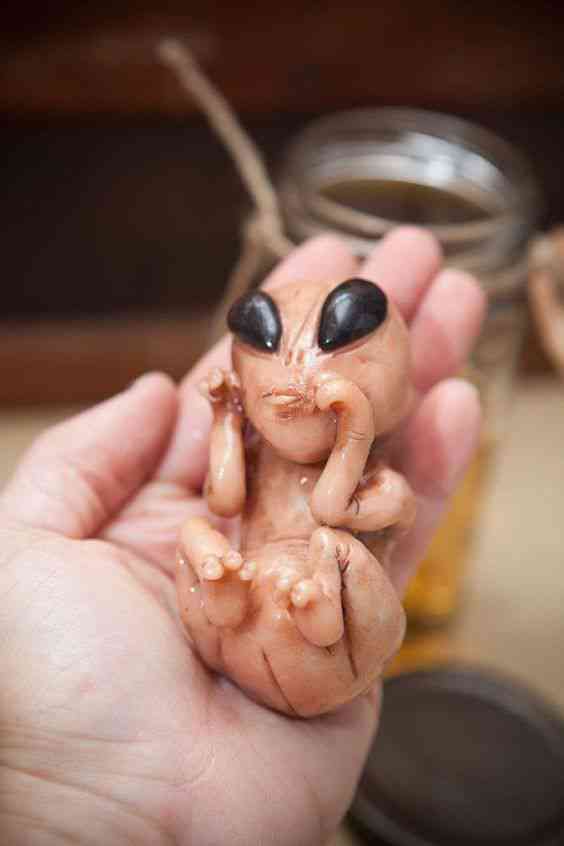 Feto alien no tubo 6fafdac9f78c583a81b6bd627852c2fc