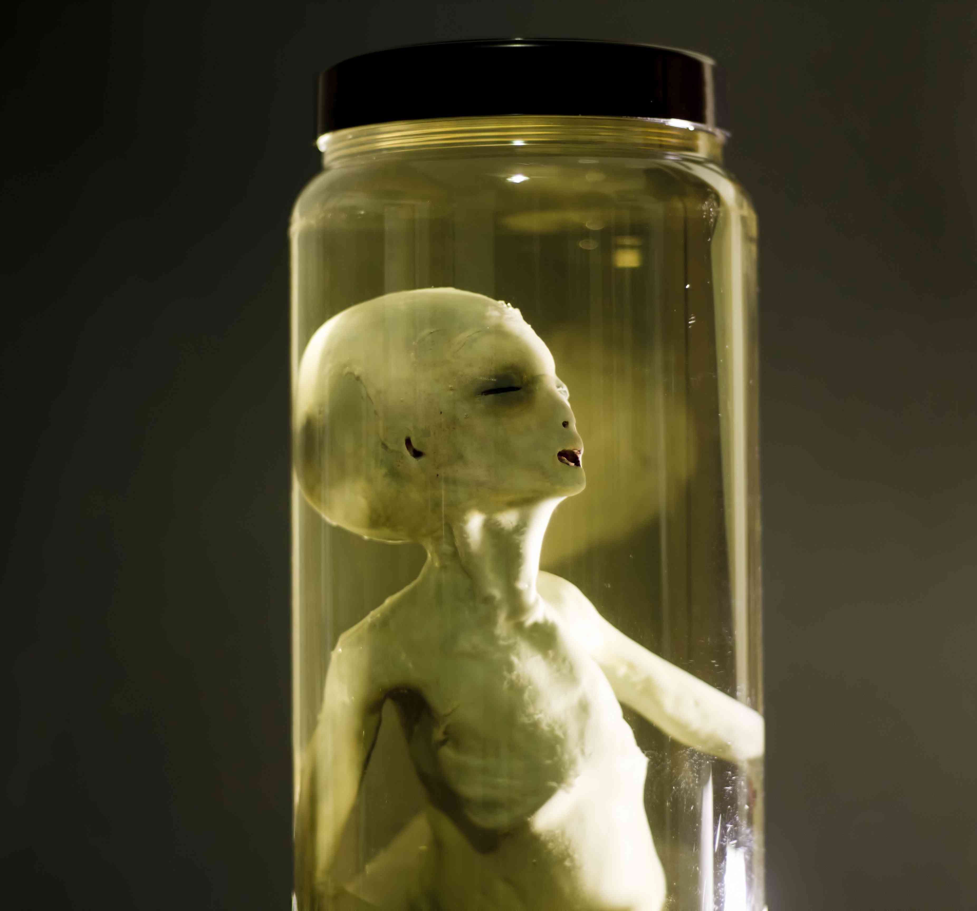 Feto alien no tubo alien no pote 4