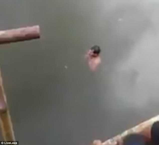 Darwin Awards: Xamã alega que seus poderes o protegem de ser comido por crocodilos. (Deu ruim! Video forte!) 4478530A00000578 0 image m 13 1505809220875 | Animais | crocodilo, Indonésia, mortes, shamã, sinistro