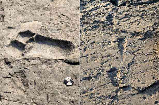 O estranho mistério das pegadas de Niterói MAIN OLDEST FOOTPRINT | Polêmica | aliens, bizarro, estranho, mistério, Niterói, pegadas