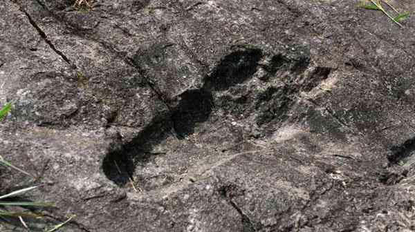 O estranho mistério das pegadas de Niterói giant footprint china 600 1 | Polêmica | aliens, bizarro, estranho, mistério, Niterói, pegadas