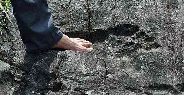 O estranho mistério das pegadas de Niterói giant footprint china wth foot 600 | Polêmica | aliens, bizarro, estranho, mistério, Niterói, pegadas