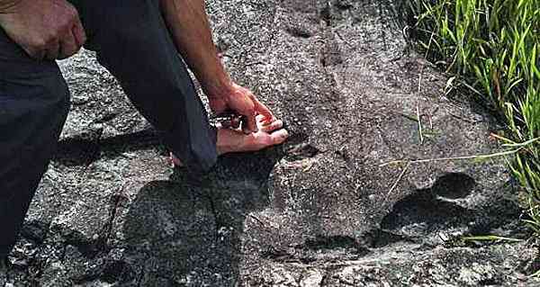 O estranho mistério das pegadas de Niterói giant footprint china wth foot hand 600 | Polêmica | aliens, bizarro, estranho, mistério, Niterói, pegadas
