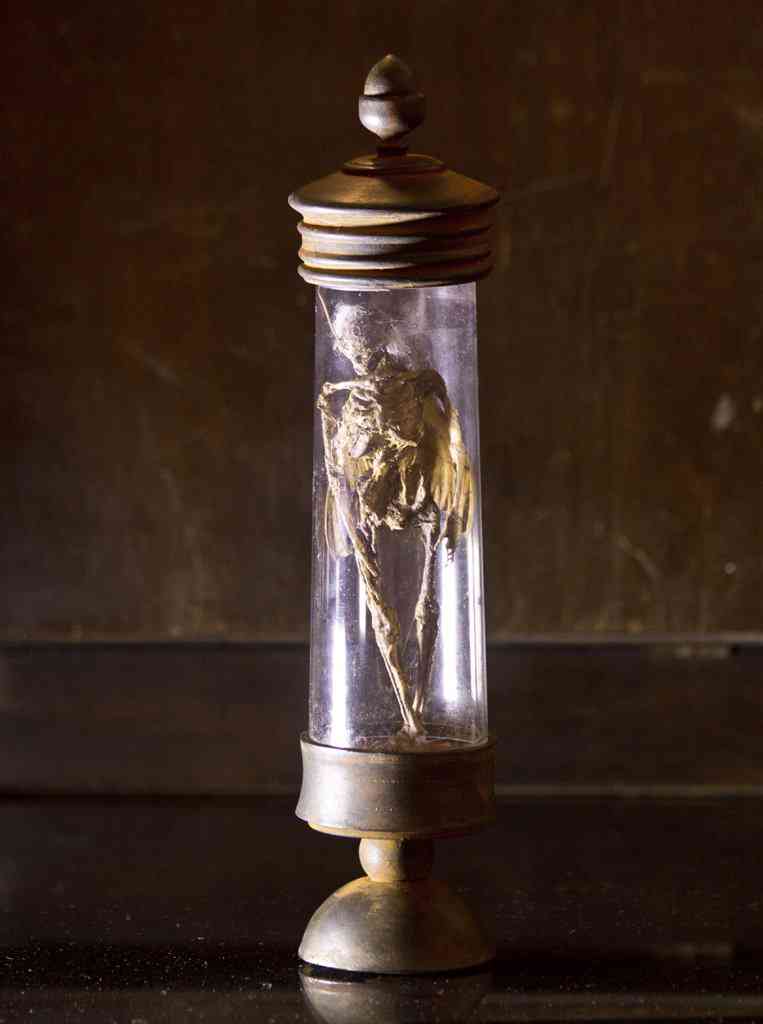 O misterioso item de Petrópolis fad1 | Arte | Arte, bizarro, conto, fada