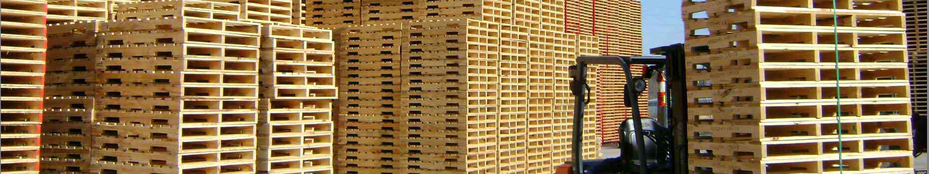 Ideias sensacionais para fazer com pallets e caixas de madeira velha SLIDER PALLETS AT PLANT | Dicas | design, dicas, materiais, pallets