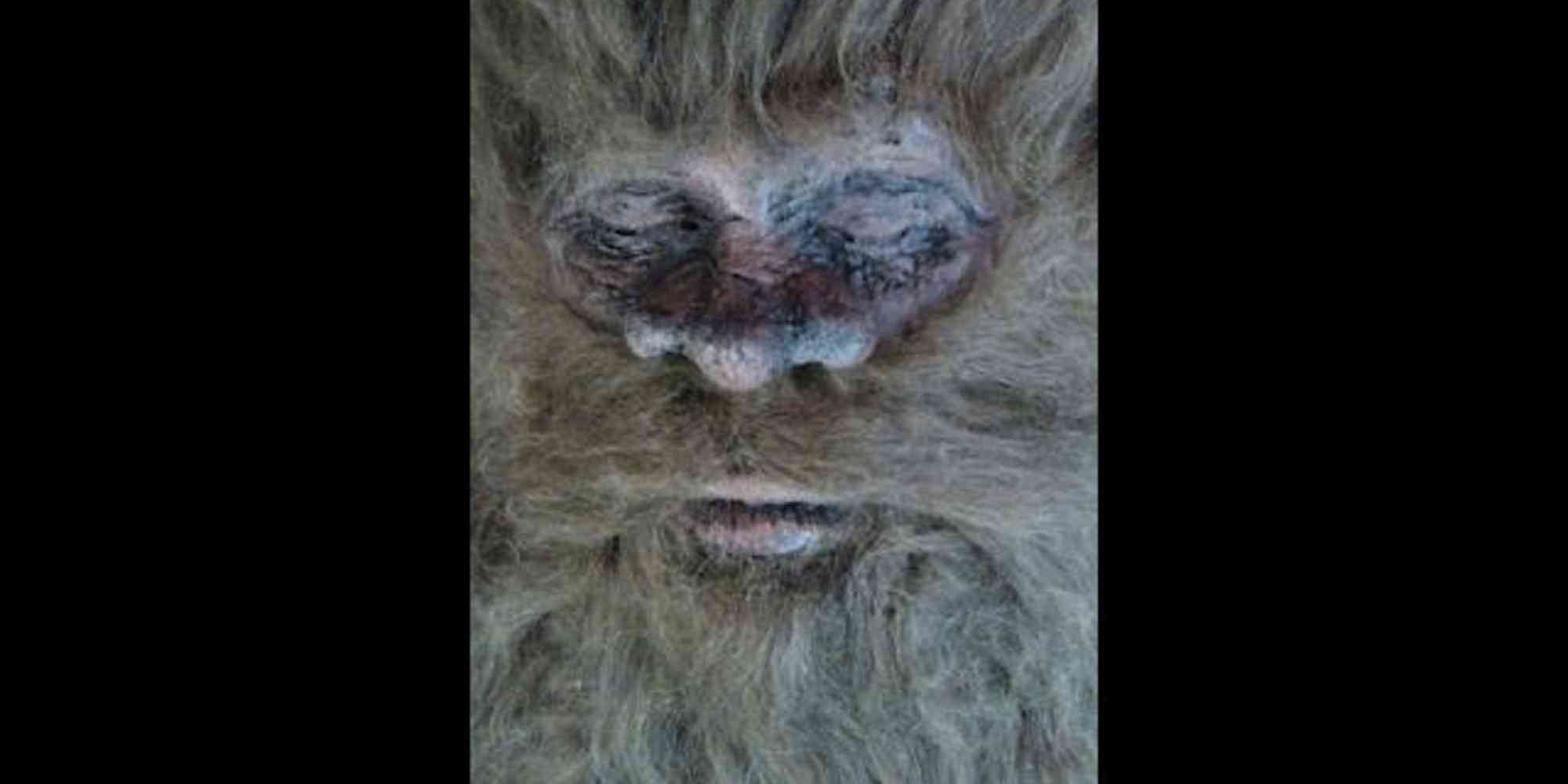 Sujeito revela: "Meu pai matou o pé grande e tenho a cabeça decepada dele pra provar!" Veja o video! o BIGFOOTFACE facebook | Bizarro | bigfoot, bizarre, bizarro, incrível, pe grande, sinistro