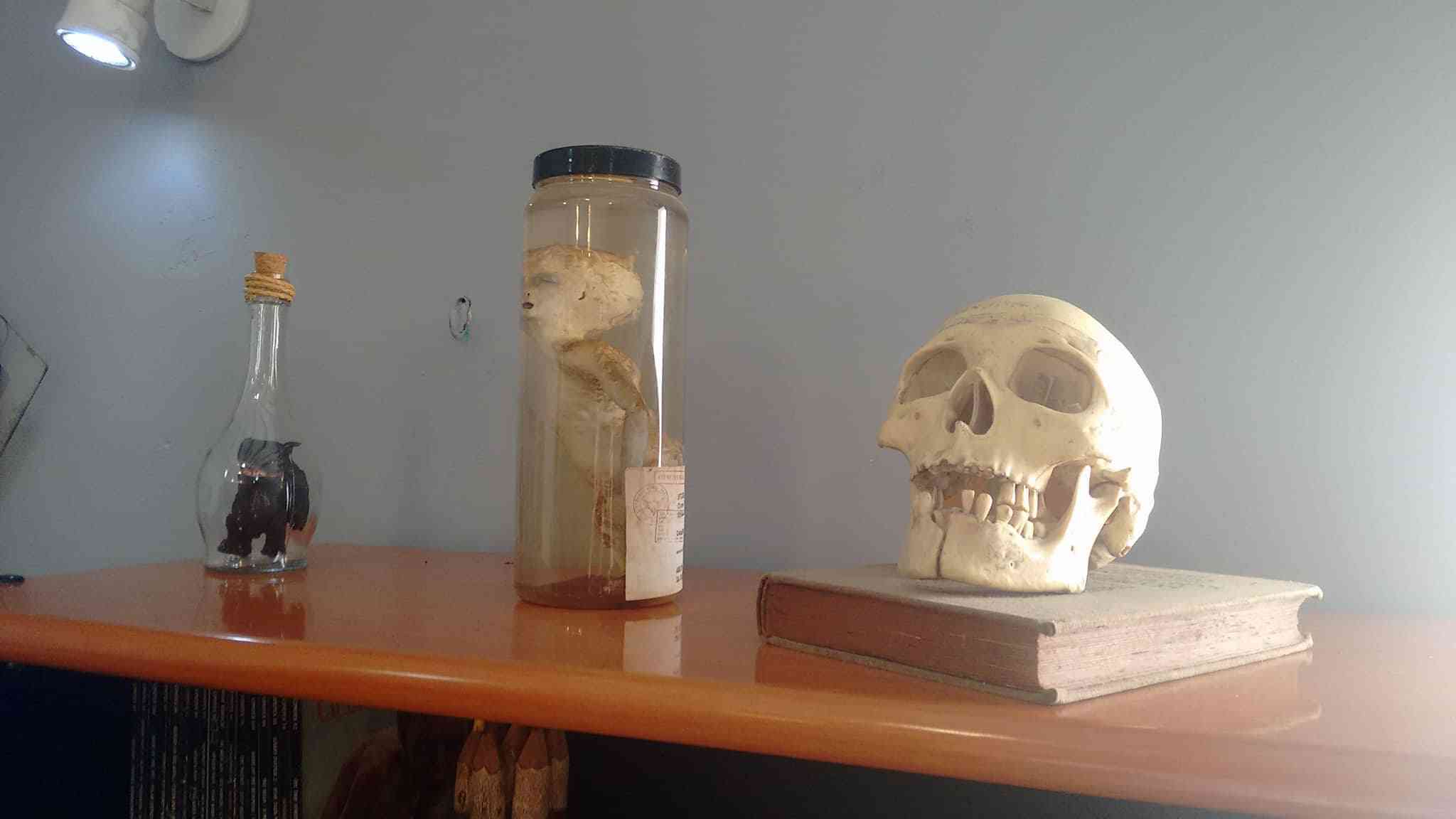 Minha vida de Joseph Climber: Como eu me ferrei com meu estudio de arte 28126087 2060464880665975 1144009180 o | Aventuras | Aventuras, azar, bizarro, gump, Philipe